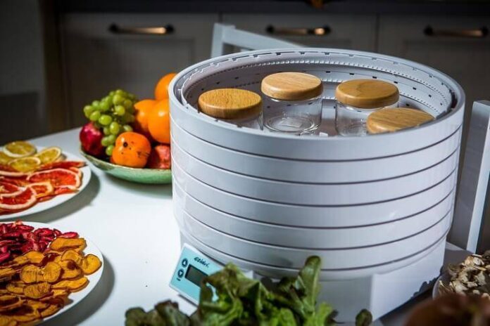 best dehydrator