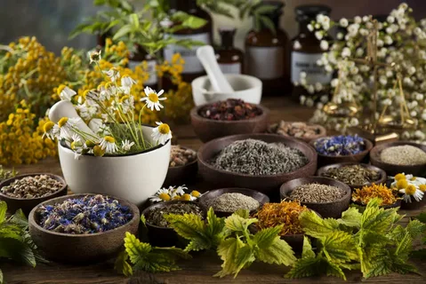  Naturopath Melbourne